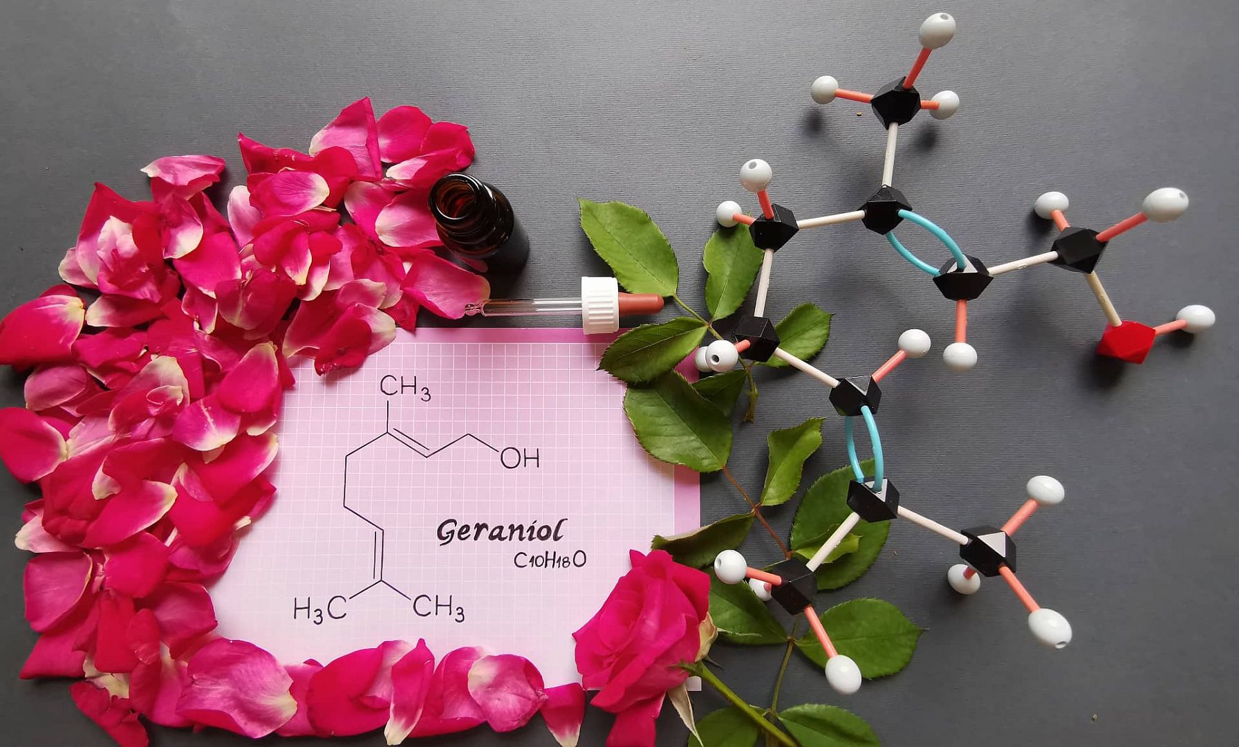 Prírodná látka geraniol - účinný repelent a prírodný insekticíd