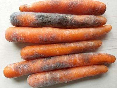 Antimykotický sprej INPORO Pro Mimozin HP - 50 ml