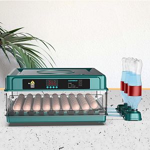 Automatická digitálna liaheň AGF-48 s doliahňou. Pre 48 vajec
