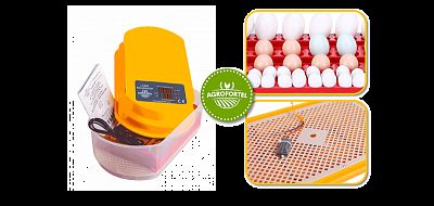 Automatická digitálna liaheň WQ-12 – pre 12/48 vajec
