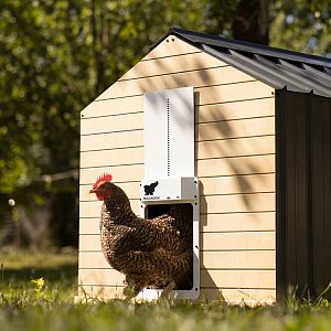 Automatické dvierka kurníka RUN-CHICKEN T50 – čierne