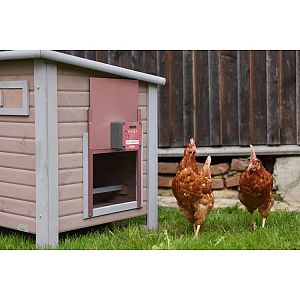 Automatické otváranie a zatváranie kurníka EasyProtect 30x33 ROSE – kompletná sada