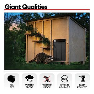 Automatické XXL dvierka kurníka RUN-CHICKEN Giant – svetlozelené