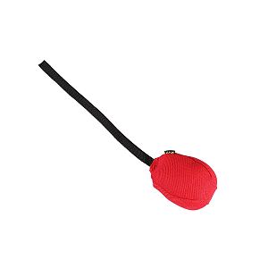 Balón Ringo pre psov, s batohom