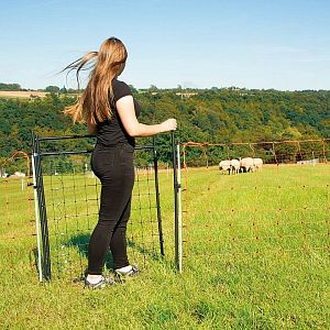 Branka k síti pro elektrický ohradník, výška 120 cm, šířka 86 cm, dvojitý hrot