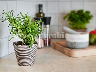 Bylinky (INPORO) 250 ml sprej