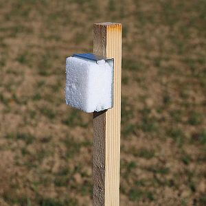 Dřevěný kůl pro pachový ohradník 100 × 2,2 × 2,5 cm