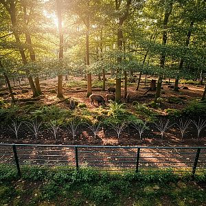 Elektrická tráva s oceľovými vodičmi pre elektrické ohrady – 10 ks