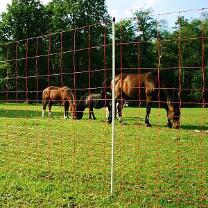 Elektrické ohradníky pre kone, výška 145 cm, dĺžka 50 m