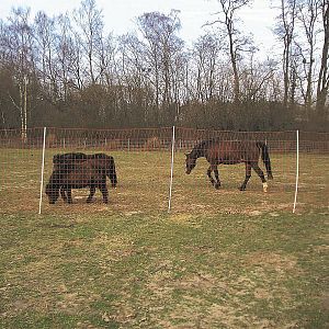 Elektrické ohradníky pre kone, výška 145 cm, dĺžka 50 m