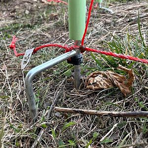 Elektrický plot proti vlkom detail na dvojitej špičke a spodnom spojovacom drôte