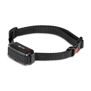 Elektronický výcvikový obojek pro psy d-control Edge 250R ONE s prstýnkovým ovladačem