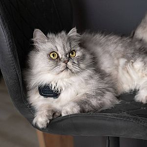 GPS mini lokátor pre psov DOG