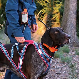GPS obojok pre psa DOG GPS X40