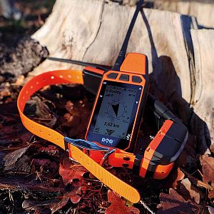 GPS obojok pre psa s výcvikovým modulom DOG GPS X40T