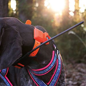 GPS obojok pre psa so zvukovým lokátorom DOG GPS X40B