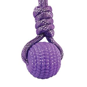 Hračka pre psov s balónikom z TPR, 33 cm, ružová / fialová