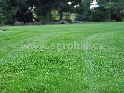 INPORO Grass koncentrát 100 ml