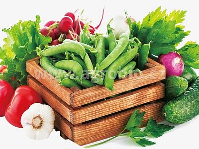 INPORO Mykorhizní houby 500 g