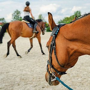 Inteligentný lokátor pre kone fencee EquiGPS Track