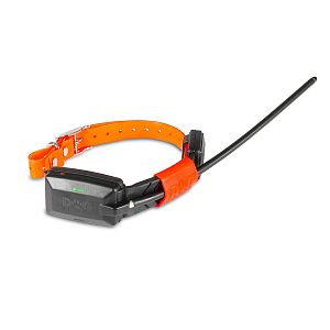 Kratší obojok pre iného psa - DOG GPS X20 Short