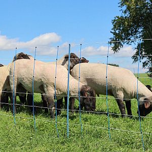 Modrá sieť na elektrický ohradník pre ovce, výška 108 cm, dĺžka 50 m