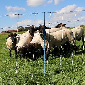 Modrá síť pro elektrický ohradník proti vlkům, výška 122 cm, délka 50 m, dvojitý hrot