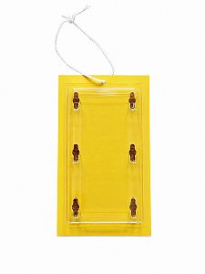 Monitorovacia pasca na vrtivku čerešňovú (Rhagoletis cerasi) - 2 ks