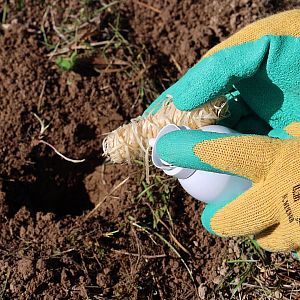 Nosič vonnej látky - rolky drevenej vlny - 10 ks