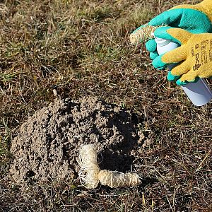 Nosič vonnej látky - rolky drevenej vlny - 10 ks
