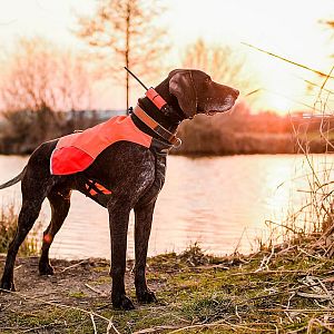 Obojok pre iného psa DOG GPS X25