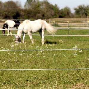 Ocelový ohradníkový drát s plastovým obalem Horse Wire, průměr 6 mm, délka 200 m