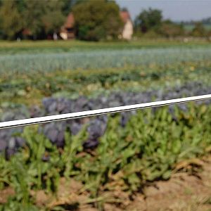 Ocelový ohradníkový drát s plastovým obalem Horse Wire, průměr 6 mm, délka 200 m