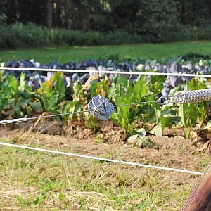 Ocelový ohradníkový drát s plastovým obalem Horse Wire, průměr 6 mm, délka 200 m