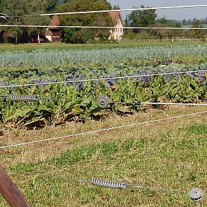 Ocelový ohradníkový drát s plastovým obalem Horse Wire, průměr 6 mm, délka 200 m