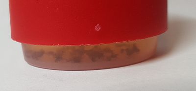 Pasca na ovocné mušky - Jablko s atraktantom 10ml