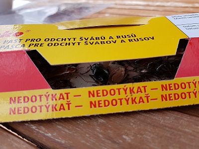 Pasca na šváby a hrdziaky s atraktantom v tablete PAGODA, 15 ks