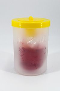 Past na vosy a mouchy s atraktantem 200ml
