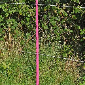 Plastový stĺpik pre elektrický ohradník, dĺžka 156 cm, 11 očiek, ružový