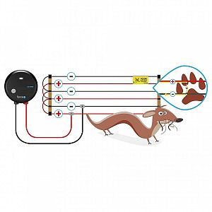 Plus-mínus vedení elektrického ohradníku proti malým škůdcům