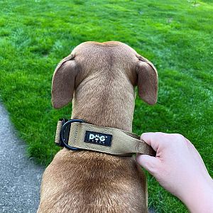 Taktický obojok pre psov K9 s rukoväťou, khaki, veľkosť S - XL