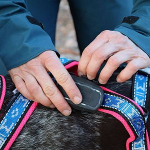 Tracker pre psy DOG GPS ultra