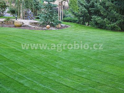 TRUMF trávnikové baktérie 4 kg