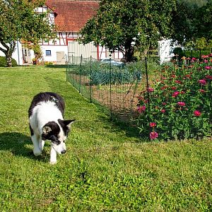 Univerzálna zelená ohradová sieť, nevodivá FIX, dĺžka 15 m, výška 90 cm