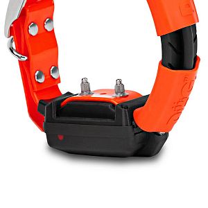 Vyhľadávacie a výcvikové zariadenie pre psov DOG GPS X30T