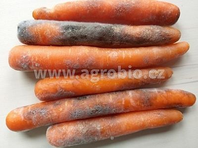 ZDRAVÁ ZELENINA - zeleninová rezistencia - baktérie 2x10 g