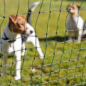 Zelená sieť STANDARD pre elektrický ohradník pre psy, králiky, mačky, výška 65 cm, 25 m, 1 bodec