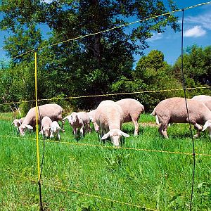 Žltá sieť na elektrický ohradník pre ovce, výška 105, dĺžka 50 m, 1 bodec