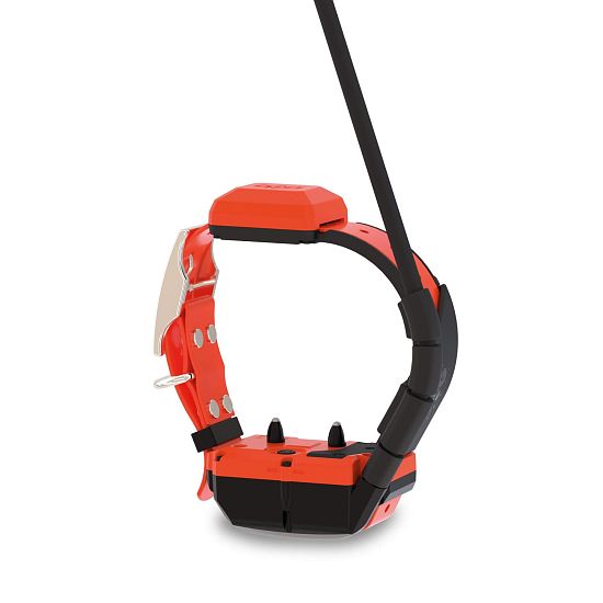 GPS obojok pre psa s výcvikovým modulom DOG GPS X40T