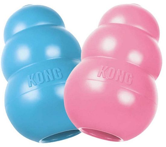 KONG Puppy Garnet pre psov